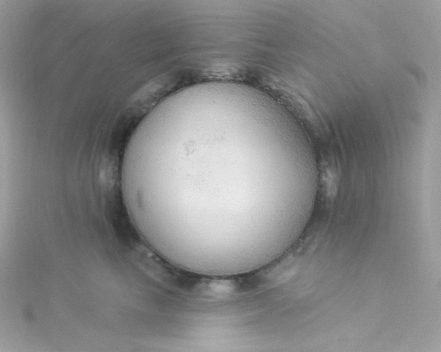 X0000115850665200911271243