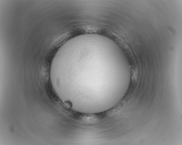 X0000115850666200911271243