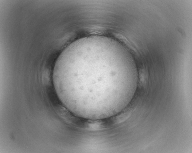 X0000115850667200911271243