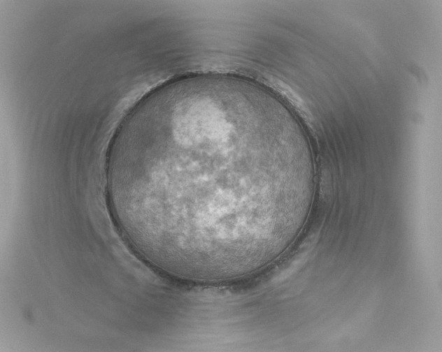 X0000115850673200911271242