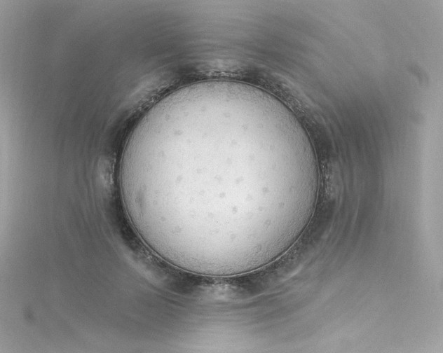 X0000115850695200911271242