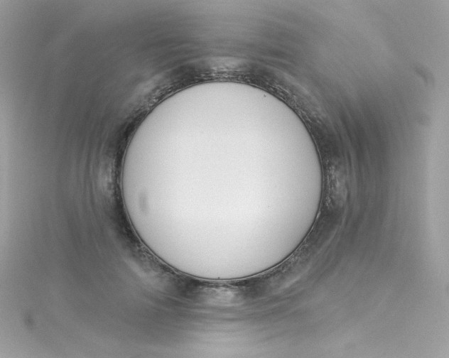 X0000115850698200911271242