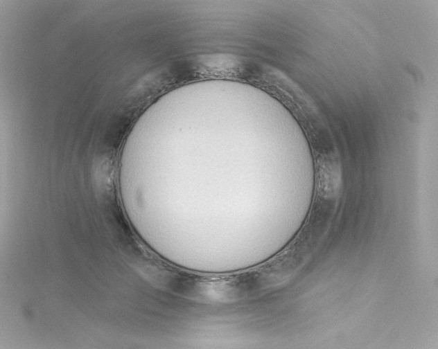 X0000115850701200911271242
