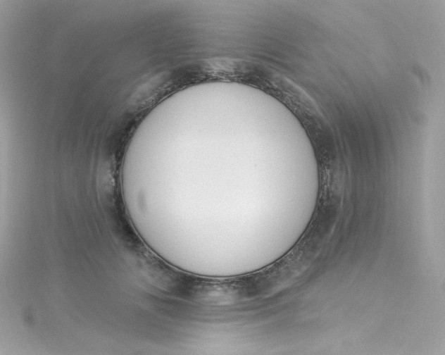 X0000115850702200911271242