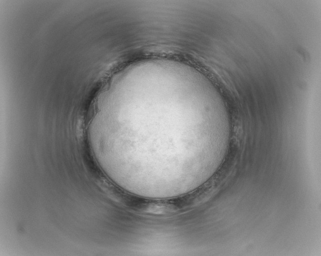 X0000115850708200911271242