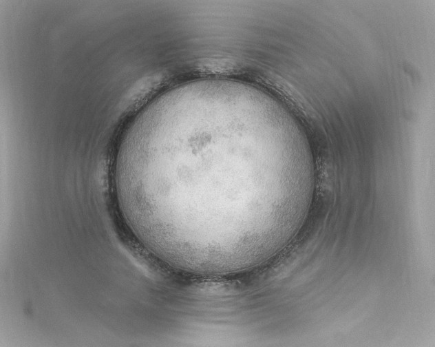 X0000115850738200911271241
