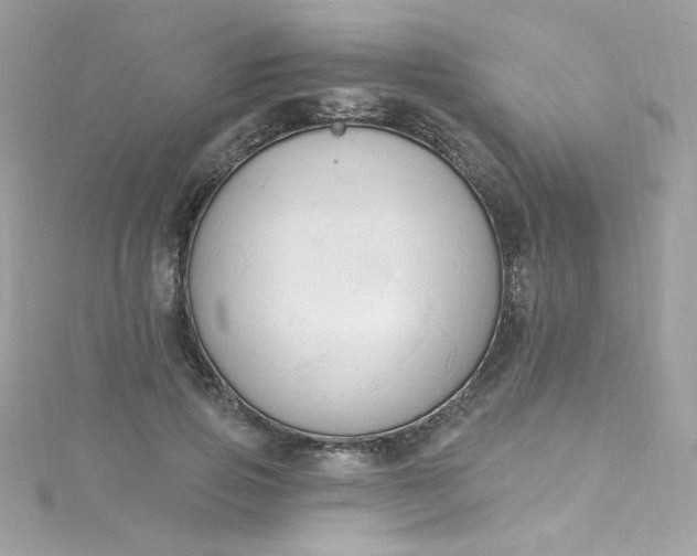 X0000115850741200911271241