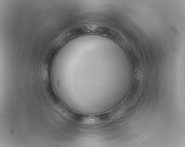 X0000115850754200911271241