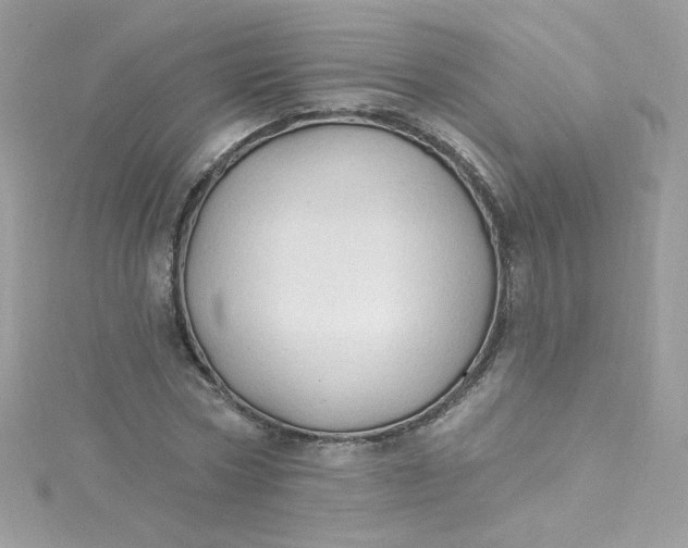 X0000115850778200911271241