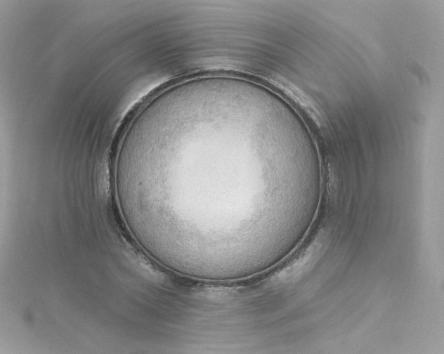 X0000115850782200911271241
