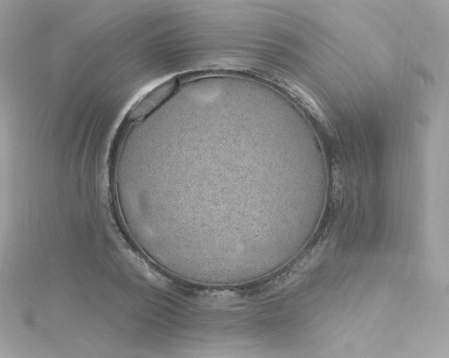 X0000115850784200911271241