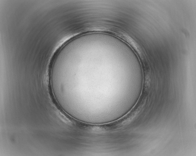 X0000115850787200911271241