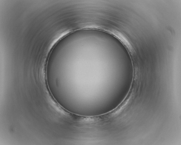 X0000115850806200911271240