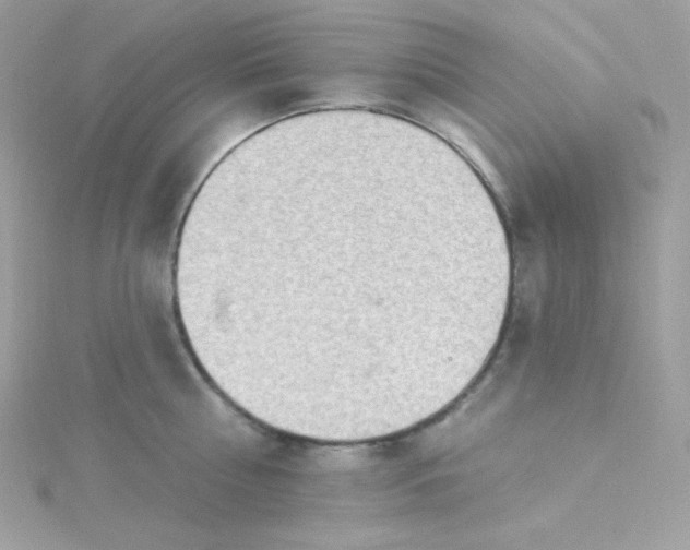 X0000115850810200911271240
