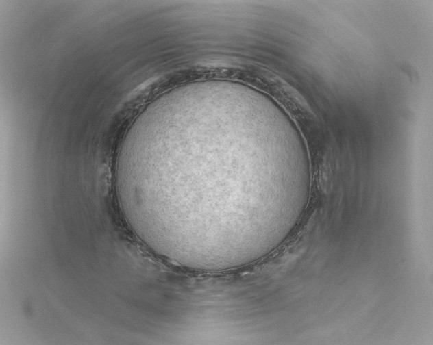 X0000115850821200911271240