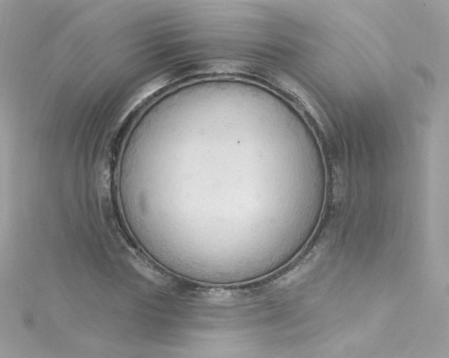X0000115850827200911271240
