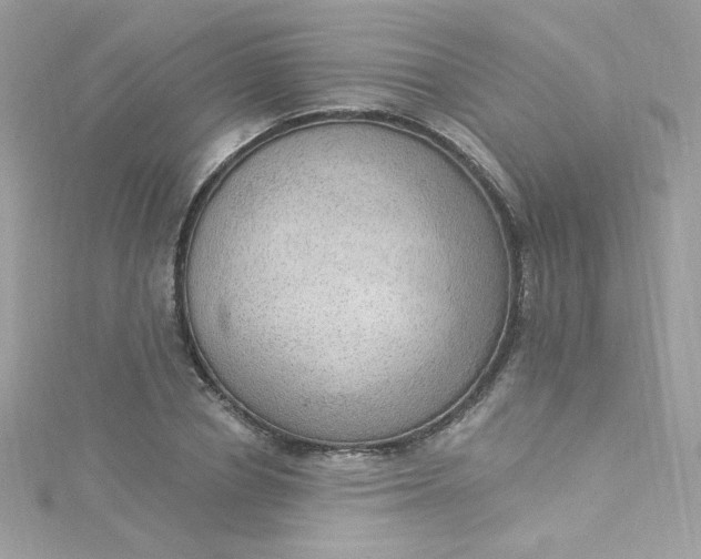 X0000115850834200911271240