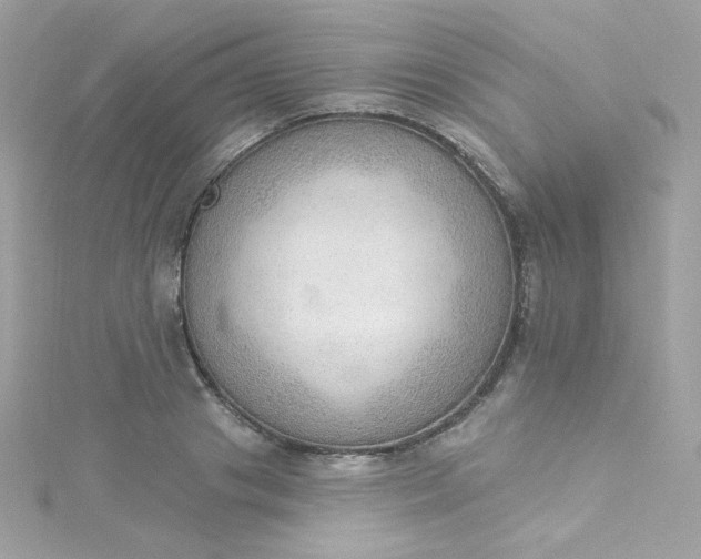 X0000115850841200911271240