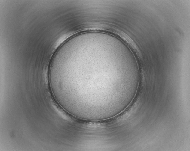 X0000115850842200911271240