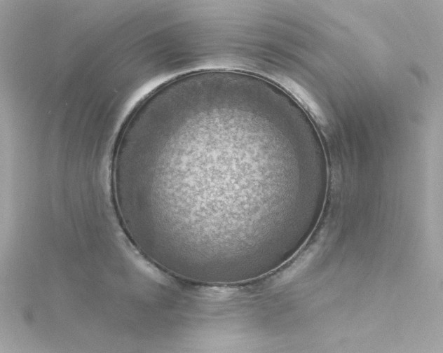 X0000115850854200911271240