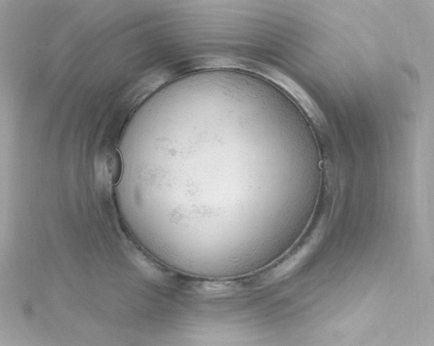 X0000115850857200911271240
