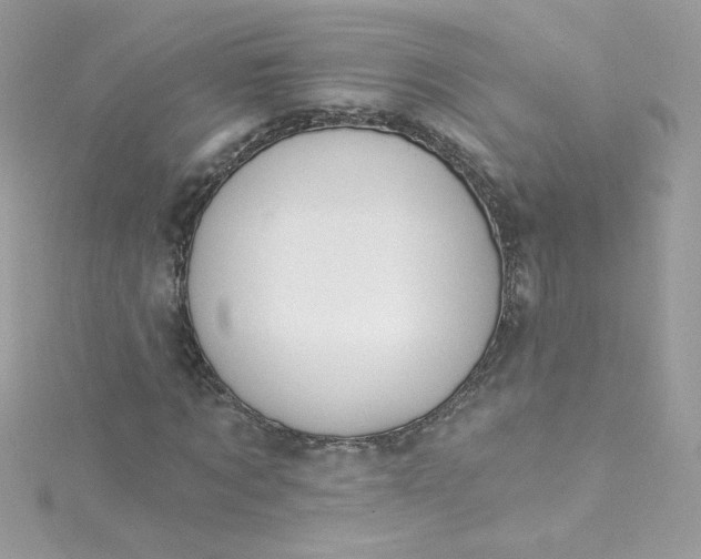X0000115850869200911271240