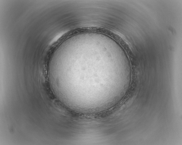 X0000115850871200911271240