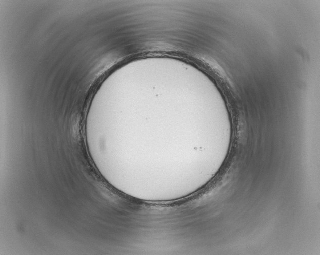 X0000115850873200911271240