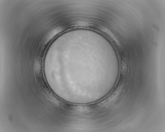X0000115850874200911271240