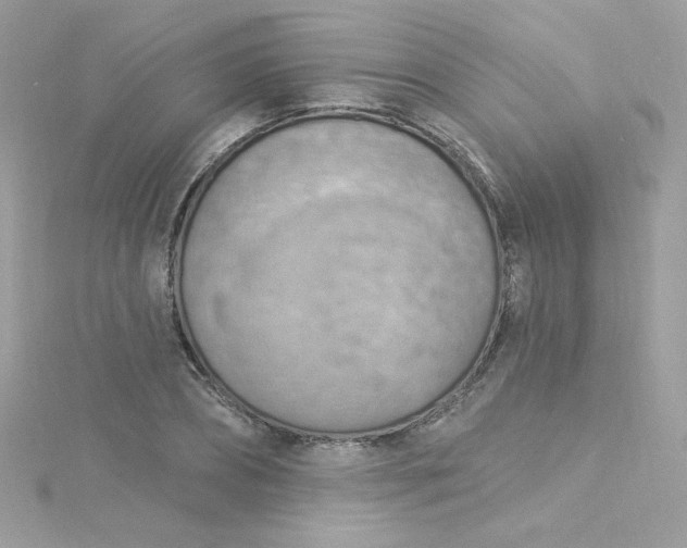X0000115850882200911271239