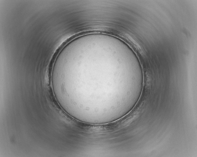 X0000115850883200911271239