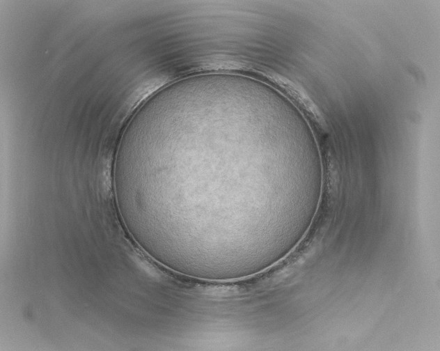 X0000115850889200911271239