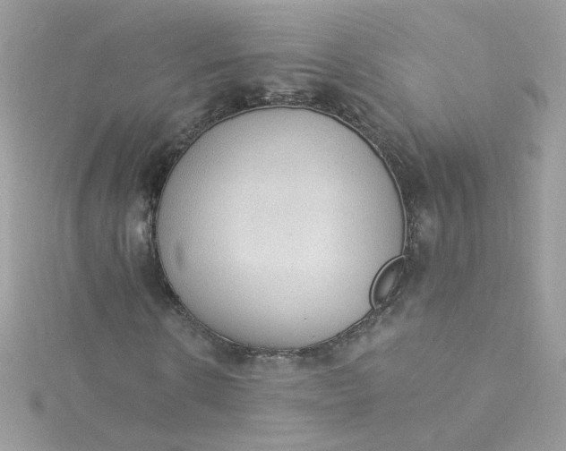 X0000115850914200911271238