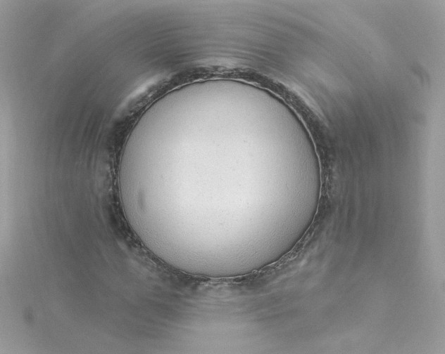 X0000115850967200911271238