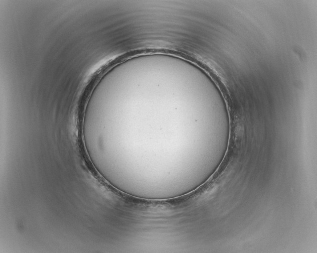 X0000115850979200911271238