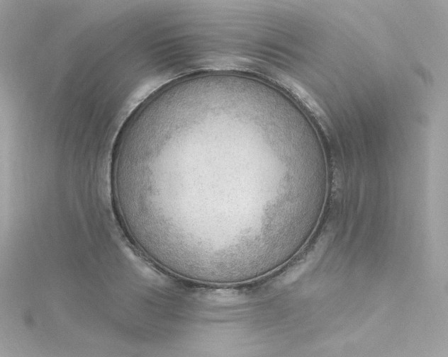 X0000115850986200911271238