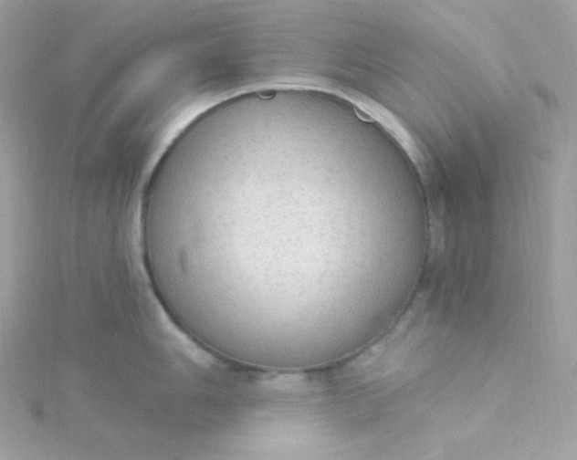 X0000115851006200911271238