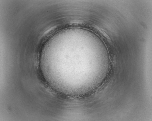 X0000115851015200911271237