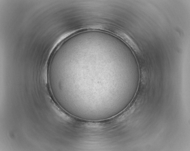 X0000115851036200911271237