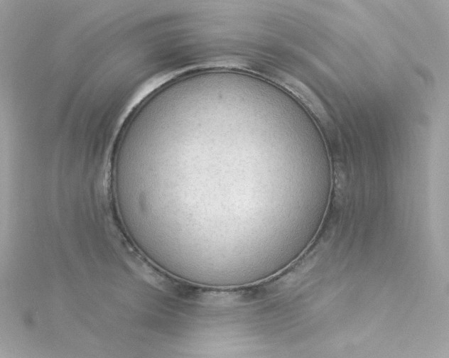 X0000115851044200911271237