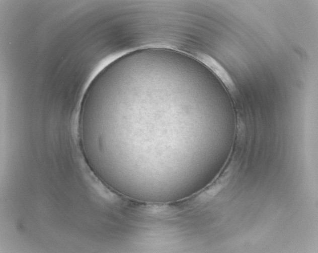 X0000115851052200911271237