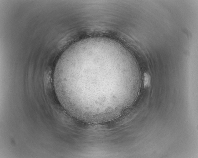 X0000115851059200911271237