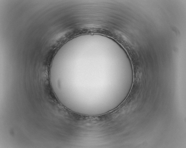 X0000115851062200911271237