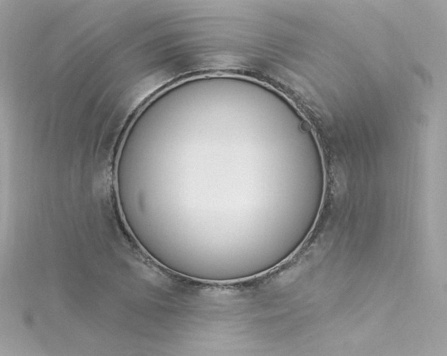 X0000115851073200911271237