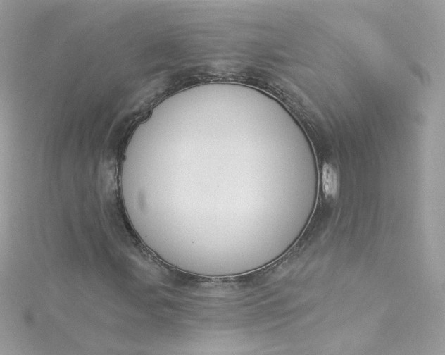 X0000115851107200911271236