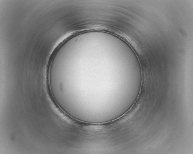 X0000115851134200911271236