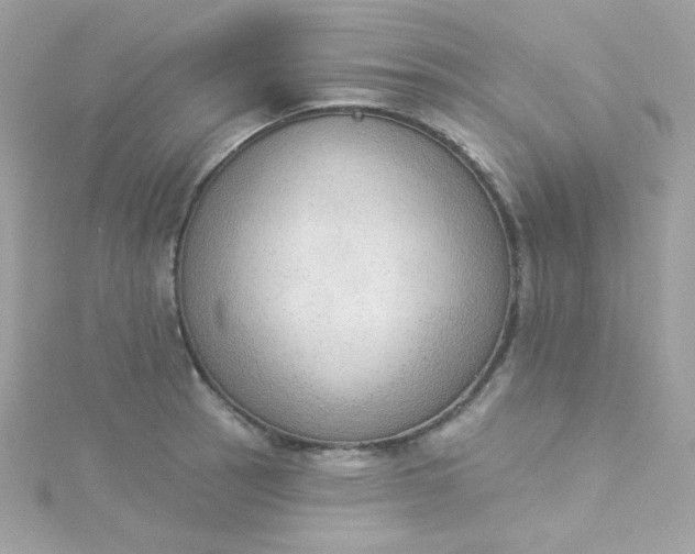 X0000115851137200911271236