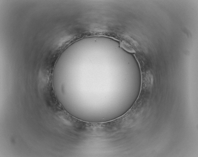 X0000115851157200911271236