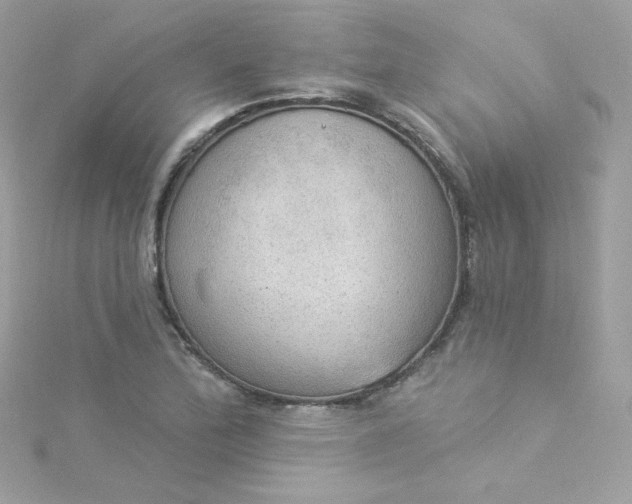 X0000115851172200911271235
