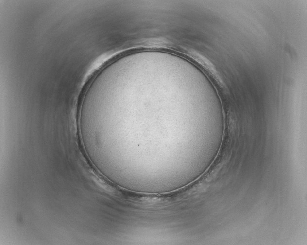 X0000115851176200911271235